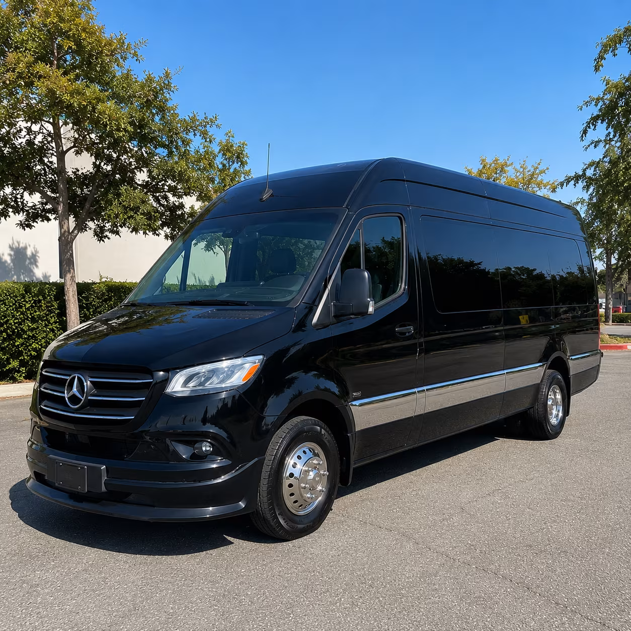 14 Passenger Sprinter Limo