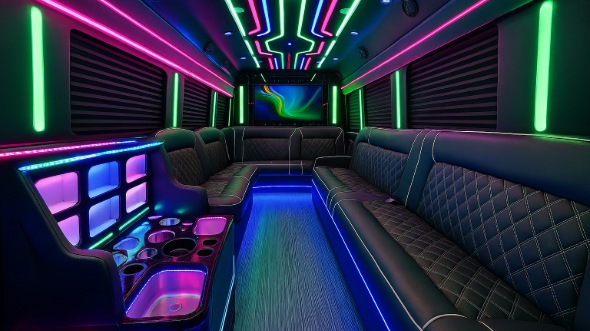 gallatin 20 passenger party bus